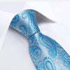 Cravatta con Motivo Blu