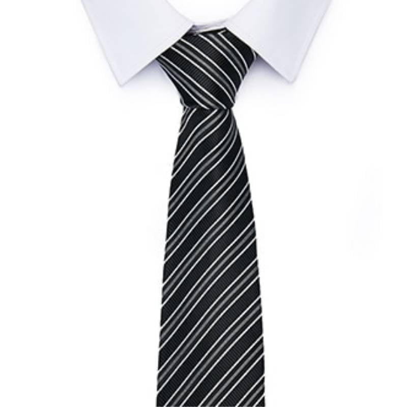 Cravatta Grigia e Nera