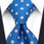 Cravatta a Punti Blu